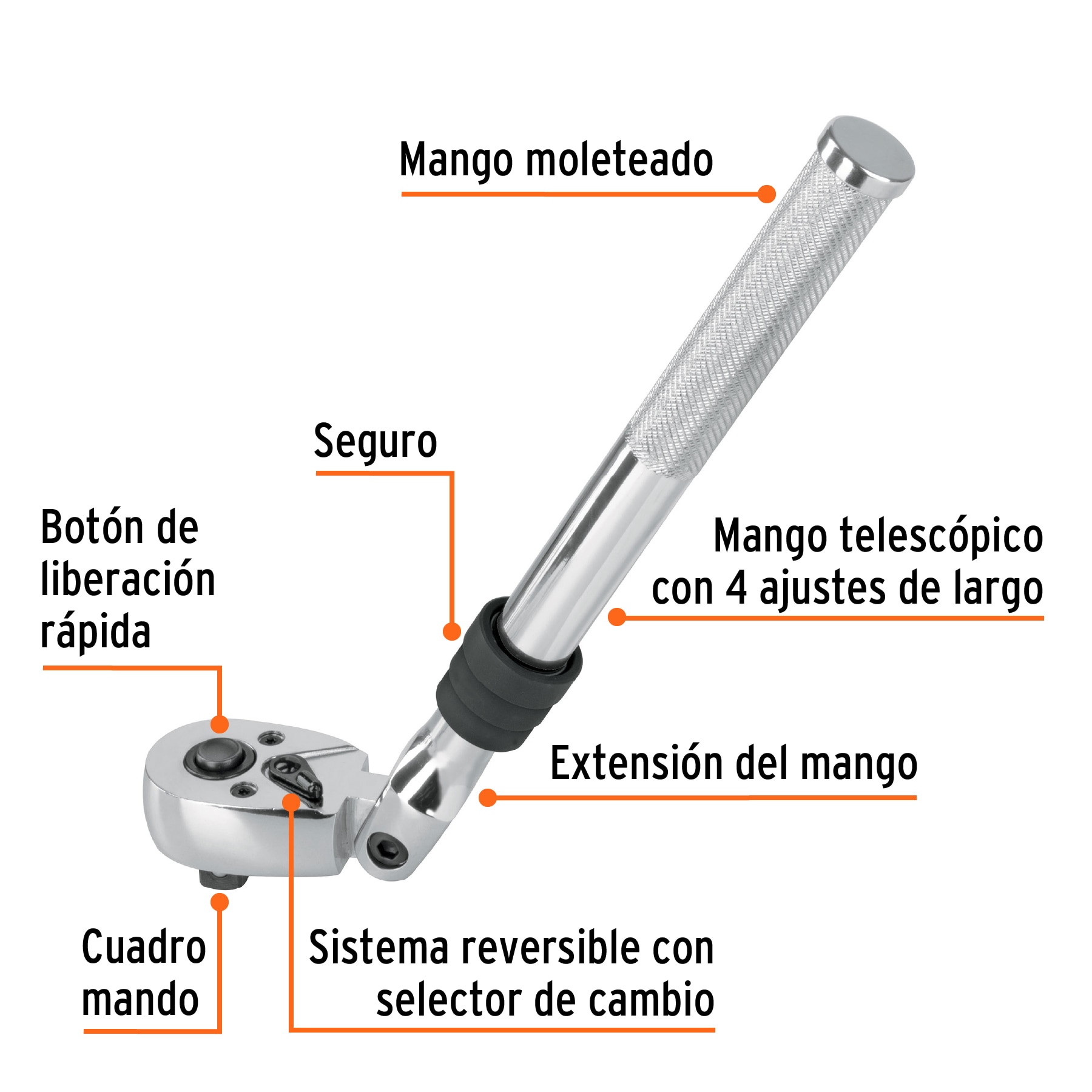 Ratchet-Telescopico-2.jpg